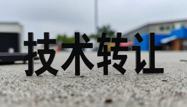 技术转让服务在使用中的常见问题与维护技巧